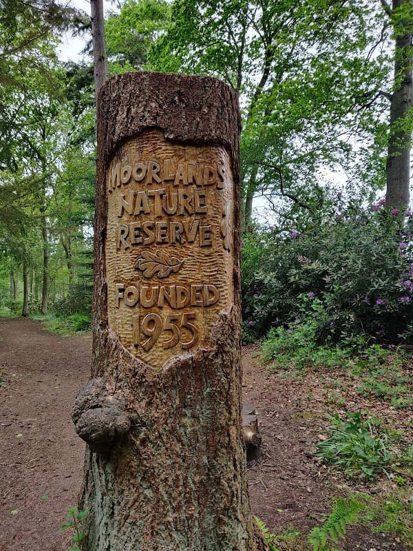 YWT Moorlands Woodland Nature Reserve