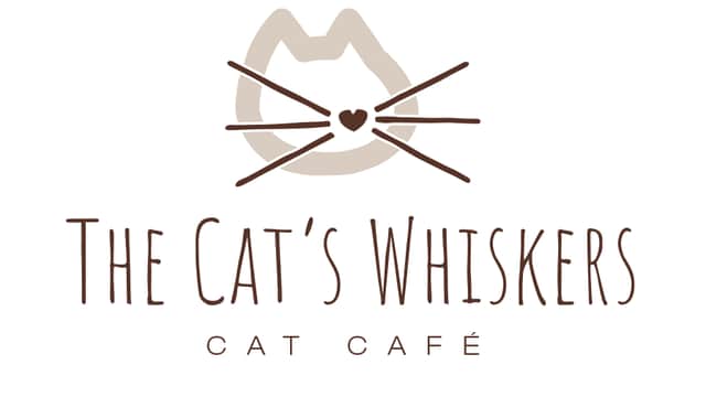 Cafe The Cat's Whiskers in york