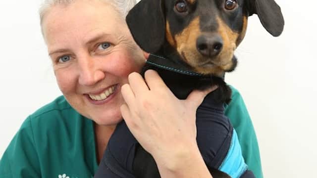 A smiling veterinary staff member holds a small dog wearing a blue harness against a plain white background.