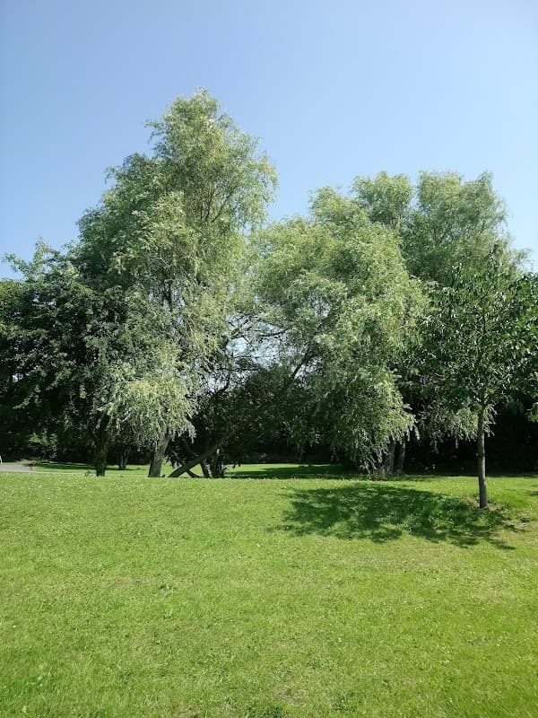 Chancet Wood Playground