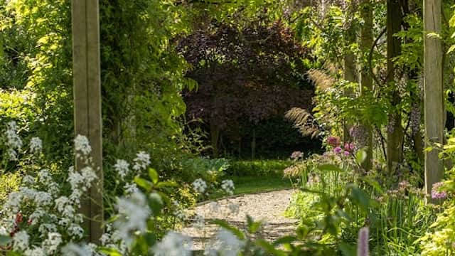 Lush garden path framed by wooden trellis, surrounded by vibrant flowers and greenery in a serene park setting.