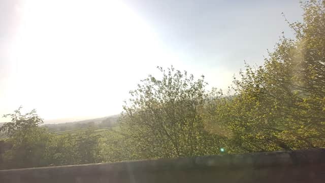 Bright sunlight illuminating lush green trees and a distant landscape in Yorkshire.