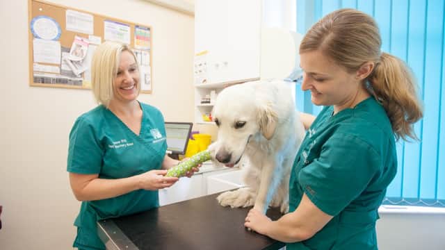 Beechwood Veterinary Group, Garforth - Vets in garforth