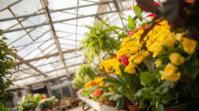 Visit Walkers Nurseries - Park in austerfield
