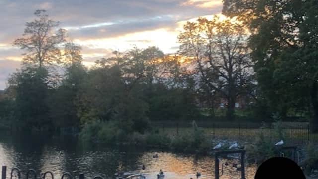 Serene park view with a pond, trees, and a colorful sunset reflecting on the water.
