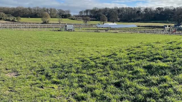 Cedarbarn Dog Field - Park in pickering