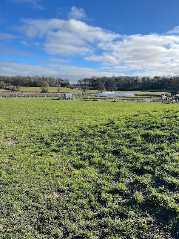 Cedarbarn Dog Field