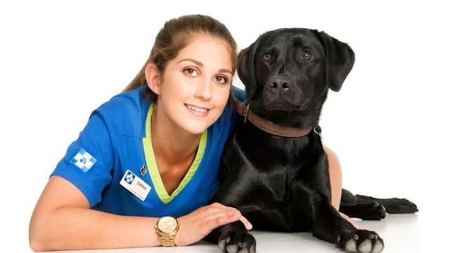 White Cross Vets - Vets in moortown