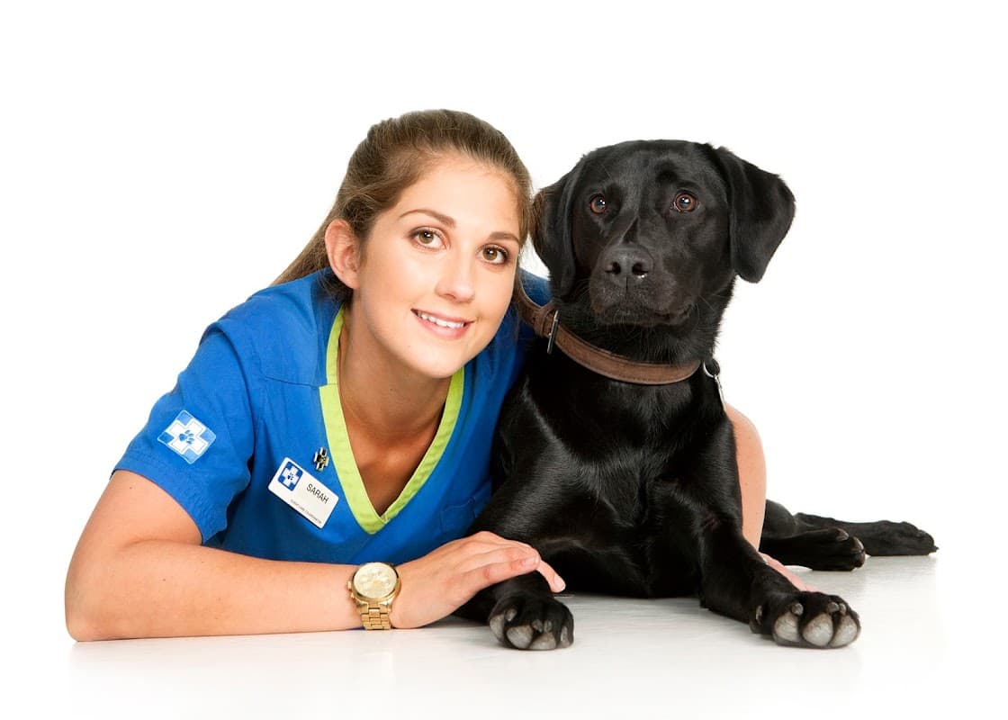 White Cross Vets
