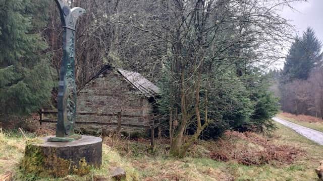 Pay & Display parking sign at Moor Ln, surrounded by trees and a rustic shed in a natural setting.