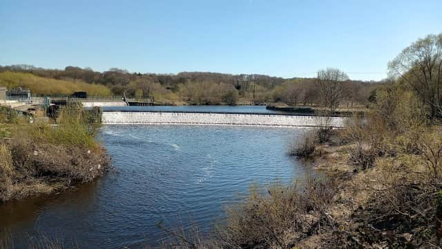 Southern Washlands - Nature Reserves in wakefield