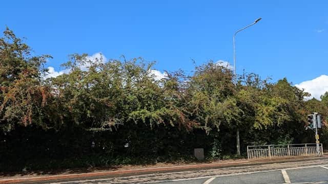 Bus Stop at Beverley Victoria Road - Bus Stops in beverley