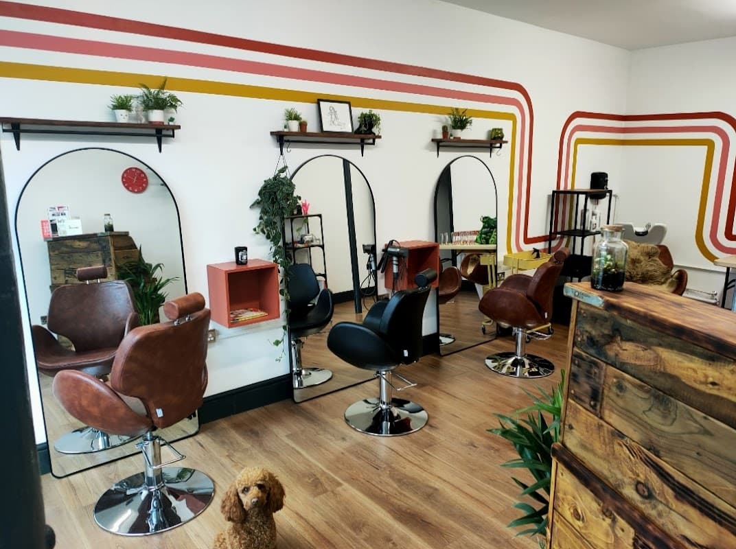 Hair Institution