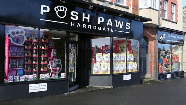 Colorful pet supplies displayed in windows of Posh Paws Harrogate shop, with signs and nearby storefronts visible.