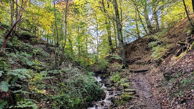 Upper Porter Clough - Park in hathersage