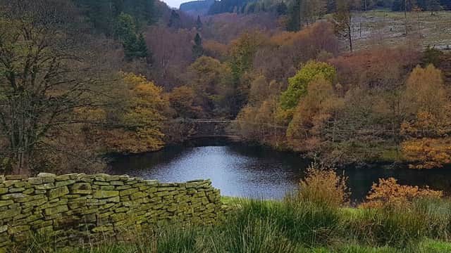 Lush green hills surround a tranquil reservoir, with autumn foliage reflecting in the water under a cloudy sky.