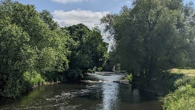 Serene river flowing through lush greenery under a blue sky with fluffy clouds at Kilnhurst Ings Nature Reserve.