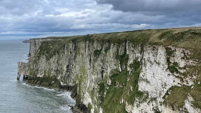 Dramatic white cliffs rise above a calm sea under a cloudy sky, with lush greenery along the cliff edges.