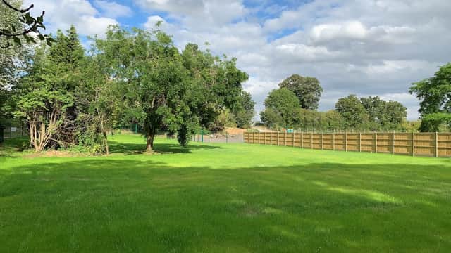 Lush green grass and trees in a spacious dog park, surrounded by a wooden fence under a partly cloudy sky.