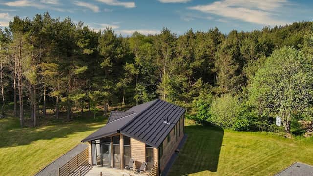 Modern wooden lodge with a deck, surrounded by lush greenery and trees at Ladycross Plantation Caravan Park in Egton.