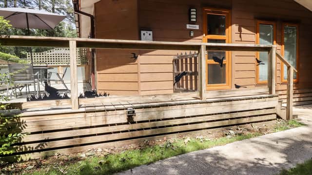 Accommodation at Swinsty Lodge in starbeck