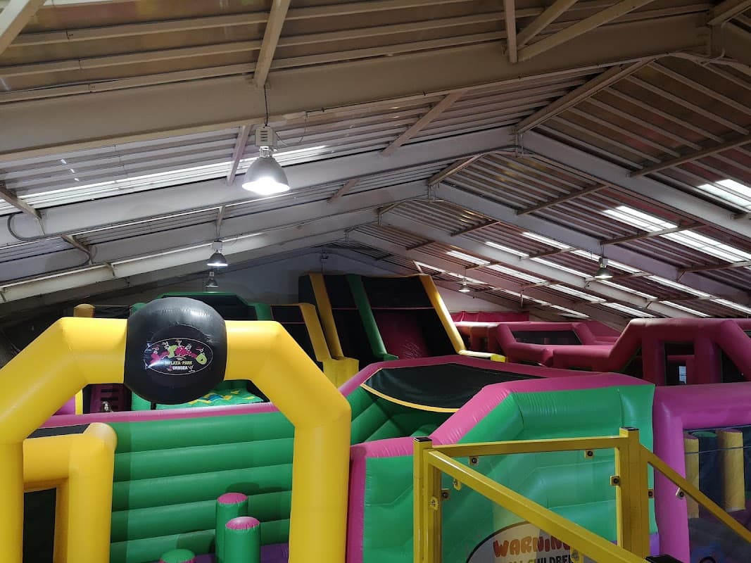 Carousel Amusements Ltd