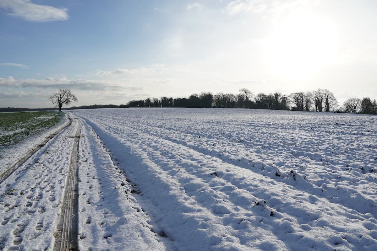 Snow-covered fields stretch under a bright sky, with a lone tree on the horizon and tire tracks in the snow.