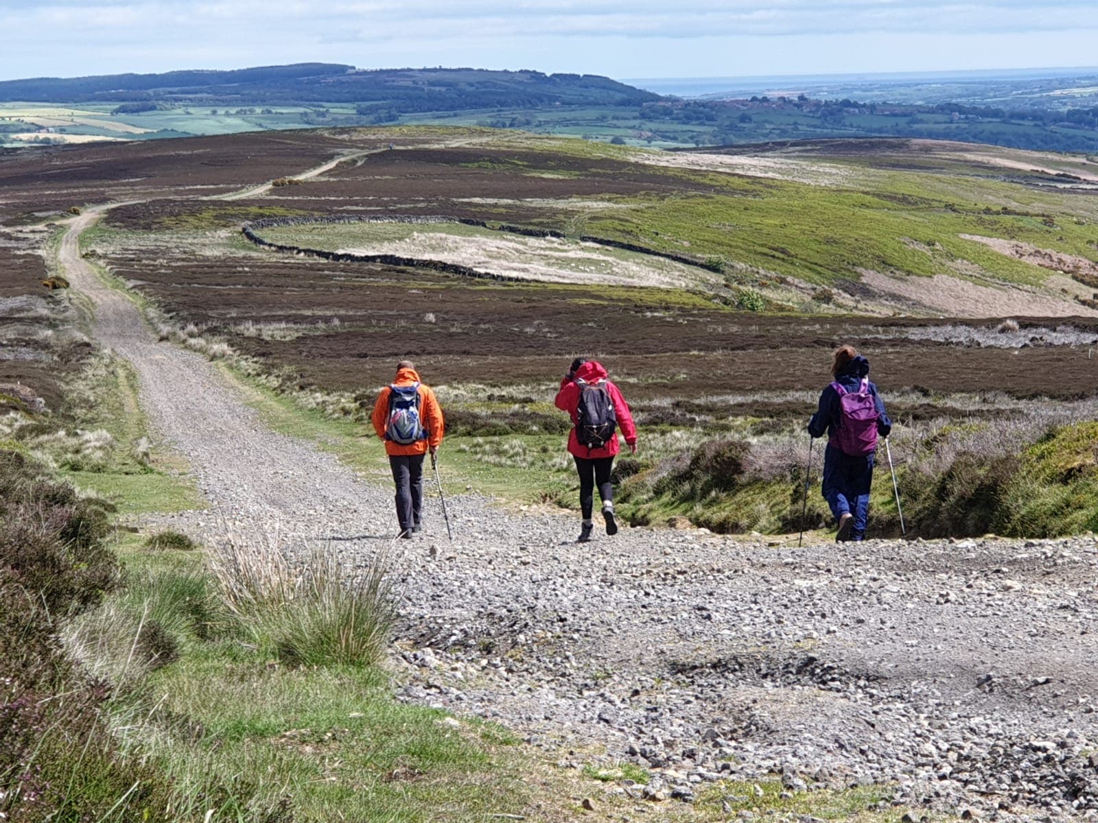 Coast to Coast Packhorse Ltd
