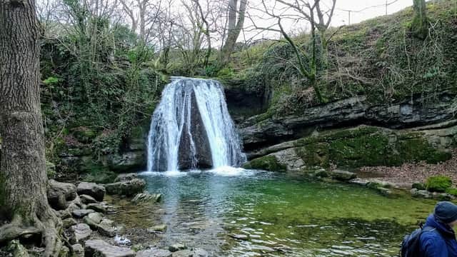 Waterfall cascading into a clear pool surrounded by lush greenery and rocky terrain in a tranquil park setting.