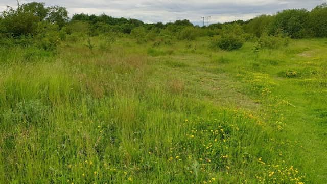 Hawk's Nest Wood LWS - Park in garforth