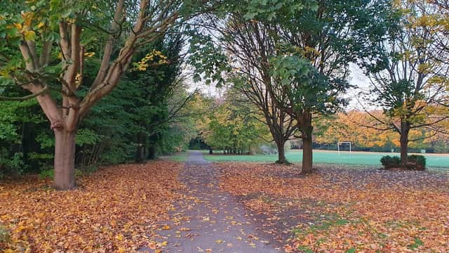A tree-lined path covered in autumn leaves leads to a grassy area with goalposts in Wath Park, Yorkshire.