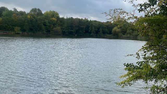 Serene lake view with calm waters, surrounded by trees under a cloudy sky, featuring a wooden dock.