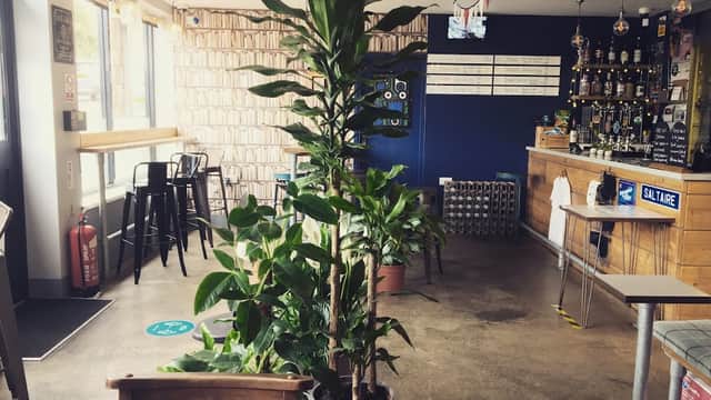 Interior of Cap and Collar with a bar, plants, high stools, and a blue wall displaying drink options.