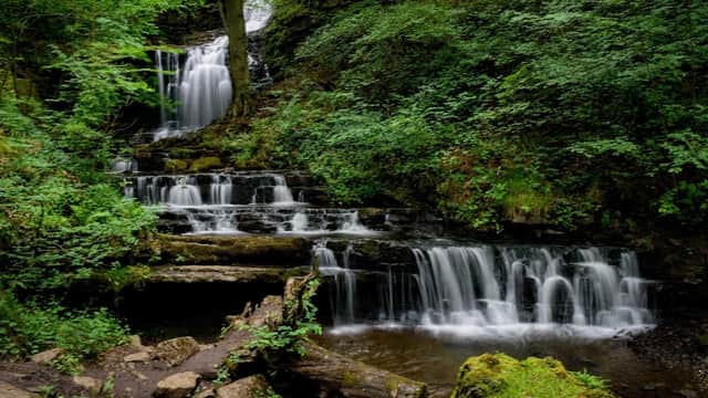 Flowing waterfall cascades over rocky steps, surrounded by lush greenery and trees in a tranquil woodland setting.