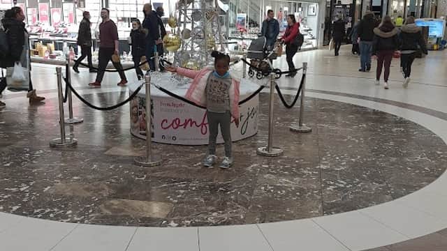 Build-A-Bear Workshop - Gift Shops in doncaster