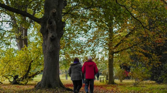 Beningbrough Hall, Gallery & Gardens - Visitor Information & Prices - Historic Site in beningbrough