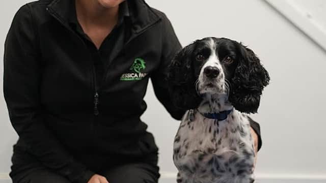 Jessica Parker Veterinary Physiotherapy - Wakefield - Sports Injury Clinics in wakefield