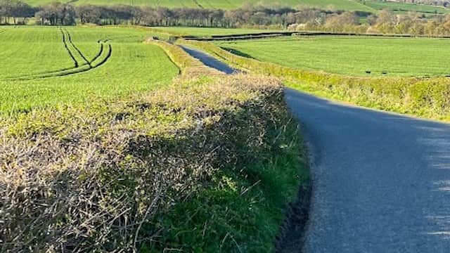 A winding road through lush green fields under a clear blue sky in Husthwaite, Yorkshire.