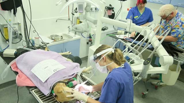Medivet Harrogate Oak Beck Way - Vets in harrogate