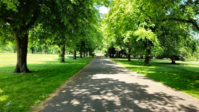 Elmfield Park - Park in doncaster