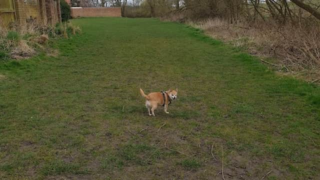 The Wier. Landing Lane. - Park in haxby