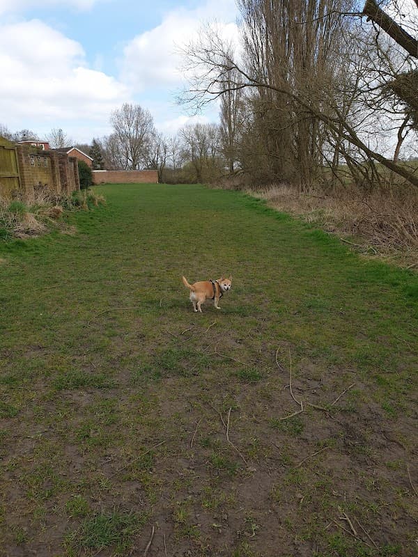 The Wier. Landing Lane.