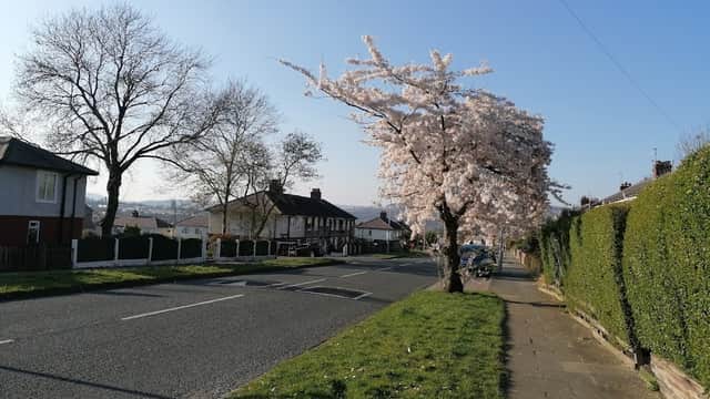 Bus Stop at Owlet Rd Hollin Road - Bus Stops in shipley