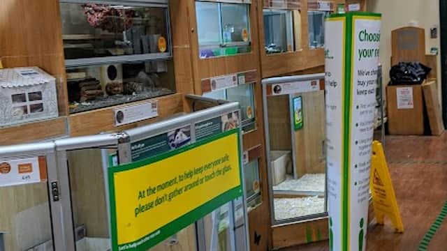 Pet shop display with various animal enclosures, signs about pet care, and a green "Choose your pet" information stand.