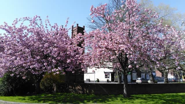 Polish Parish Doncaster - Churches in doncaster