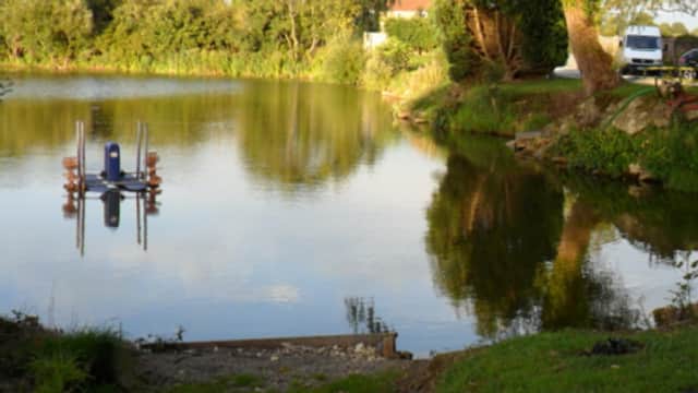 Tollerton Pond - Fishing in tollerton north yorkshire