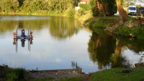 Tollerton Pond