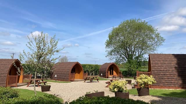 Glamping pods and picnic areas surrounded by greenery under a blue sky at Dalby Forest Campsite, Yorkshire.