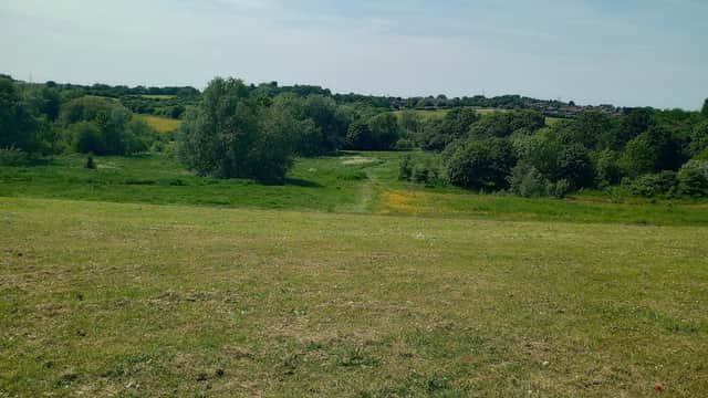 Lush green meadows with trees and a winding path under a clear blue sky in Alverthorpe, Yorkshire.