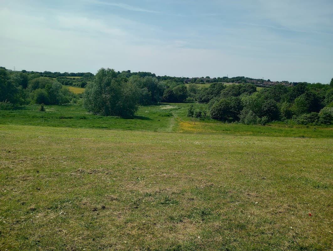 Lush green meadows with trees and a winding path under a clear blue sky in Alverthorpe, Yorkshire.